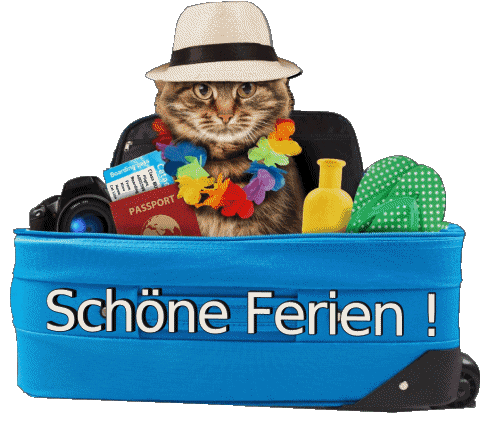 12 Fond Transparent Schöne Ferien Allemand Messages 