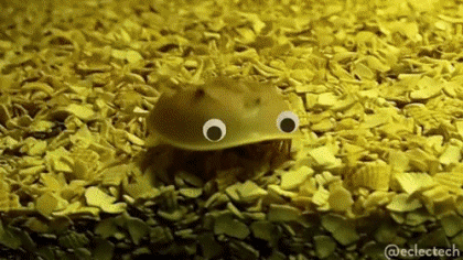 @Eclectech GIF Artista Humor - Fun 