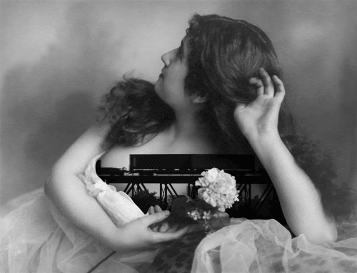 Bill Domonkos GIF Artistes Humour - Fun 