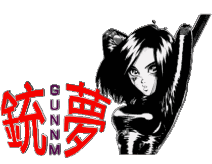 Gunnm Manga Multimedia 