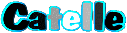 Catelle C FEMININ - France Prénoms 