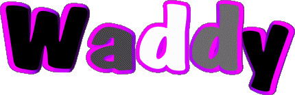 Waddy W MASCULINE - France First Names 