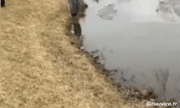 Gamelles Fail Sur La Glace PERSONNAGES Humour - Fun 