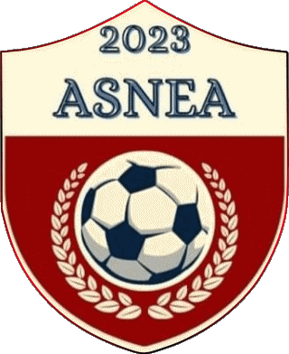 Association Sportive Nord-Est-Anjou 49 - Maine-et-Loire Pays de la Loire Fußballvereine Frankreich Sport 