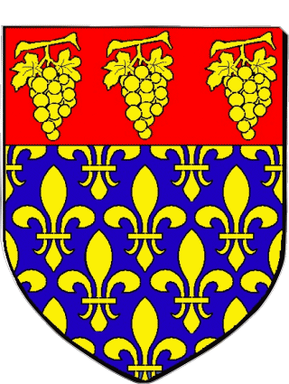 Wappen-Wappen VILLENEUVE LE ROI 94 Abteilungen - Städte Frankreich Fahnen 