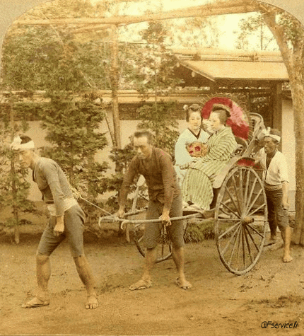 Stéreoscopique Wiggle 3d Effects Humor -  Fun 