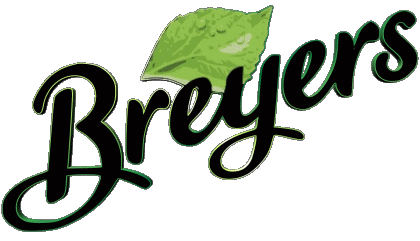 Breyers Ice cream Food 