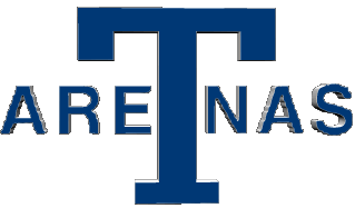 1917-1917 Toronto Maple Leafs U.S.A - N H L Hockey - Clubs Deportes 