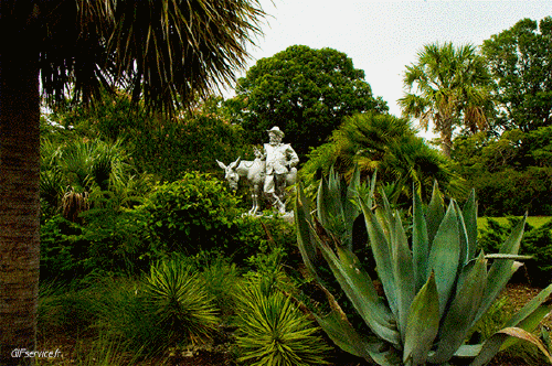 Stéreoscopique Wiggle 3d Effects Humor -  Fun 