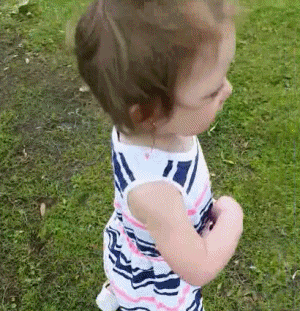 Roosters - Hens Birds Animals Humor -  Fun 