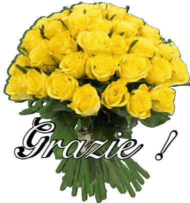 007 Grazie Italiano Messagi 