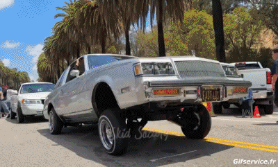 Lowriding Autos Transport Humor -  Fun 