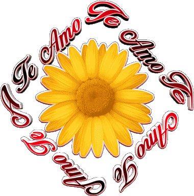 02 Te Amo Spanish Messages 