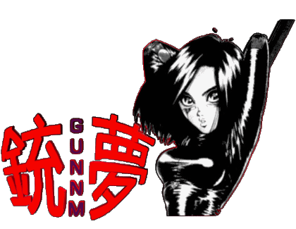 Gunnm Manga Multi Media 