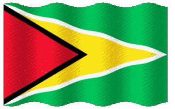 Waving Guyana America Flags 