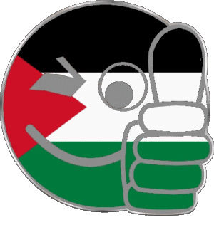Smiley - OK Palestine Asie Drapeaux 