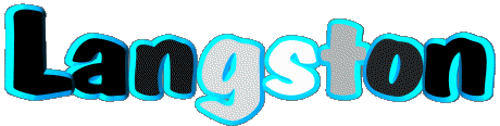 Langston L MASCULINE -  UK - USA - IRL - AUS - NZ First Names 