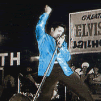 Elvis Presley Rock USA Musique Multi Média 