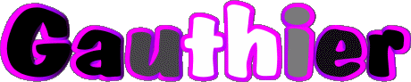 Gauthier G MANN - Frankreich Vorname 