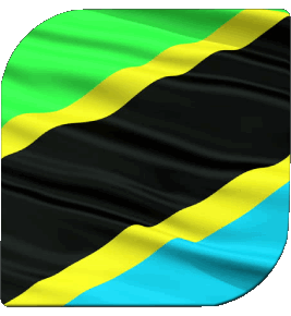 Square Tanzania Africa Flags 