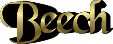 Beech B MASCULINE -  UK - USA - IRL - AUS - NZ First Names 