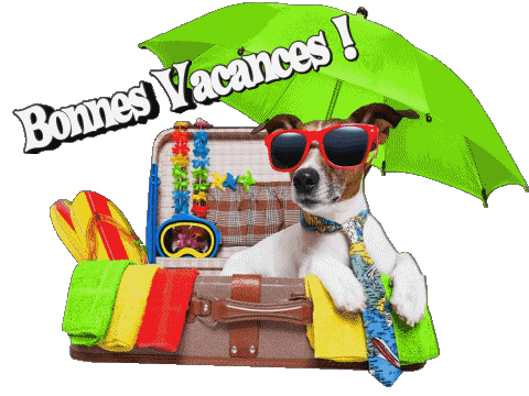 11 Fondo transparente Bonnes Vacances Francés Mensajes 