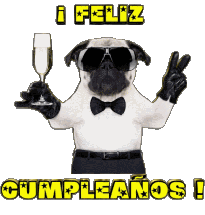 001 Animales Feliz Cumpleaños Spagnolo Messagi 