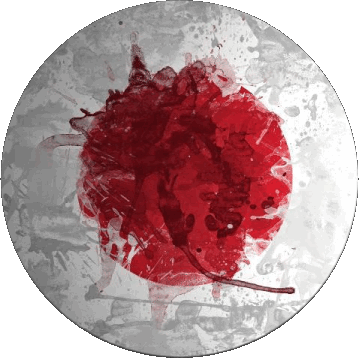 Round Japan Asia Flags 