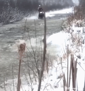 Gamelles Fail Motoneige Transports Humour - Fun 