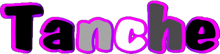 Tanche T FEMININ - France Prénoms 