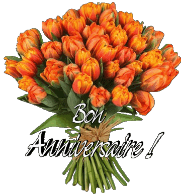 012 Sfondo trasparente Floral Bon Anniversaire Francese Messagi 
