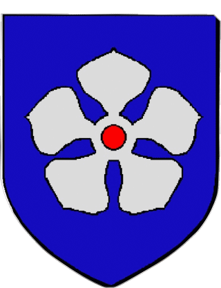 HAGUENAU 67 Departments - Cities France Flags 