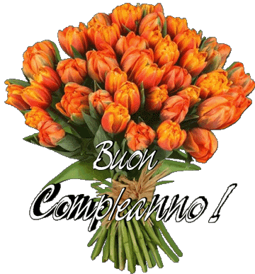 012 Fondo transparente Floreale Buon Compleanno Italiano Mensajes 