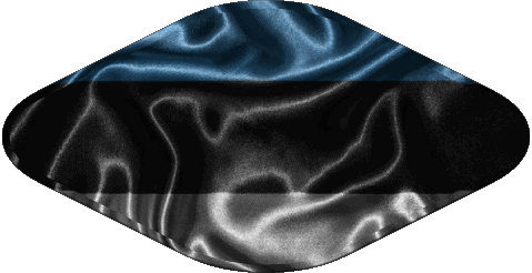 Ovale Estonie Europe Drapeaux 