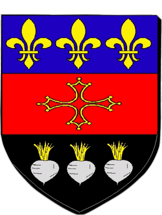 Blazon-Blazon RABASTENS 81 Departments - Cities France Flags 