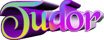 Tudor T MASCULIN - UK - USA Prénoms 