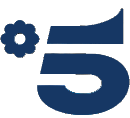 Canale 5 Italy Channels - TV World Multi Media 