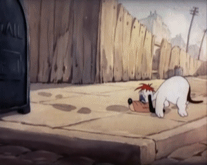 Dumb-Hounded Tex Avery Cartoons TV - Movies Multi Media 