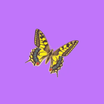 Chantal Caduff GIF Artista Humor - Fun 