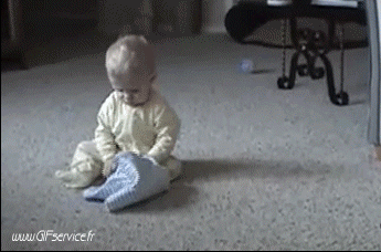 02 Perros Animales Humor - Fun 