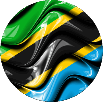Rond Tanzanie Afrique Drapeaux 