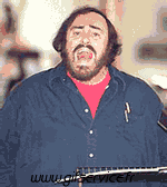 03 Gatos Animales Humor - Fun 