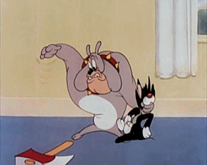 The Cat That Hated People Tex Avery Dibujos animados TV Peliculas Multimedia 