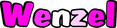 Wenzel W MASCULIN - France Prénoms 