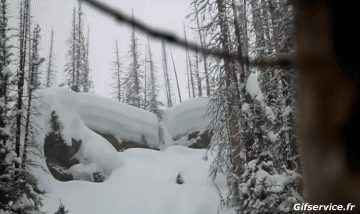 Free Ride Fun Win Ski Sports Humour - Fun 