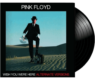 Pink Floyd Pop Rock Musica Multimedia 