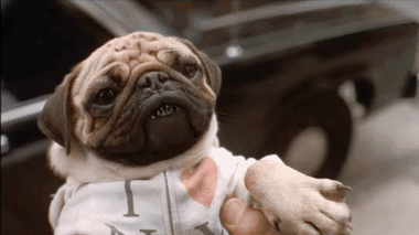 Men in Black Men in Black Movies International Multi Media 