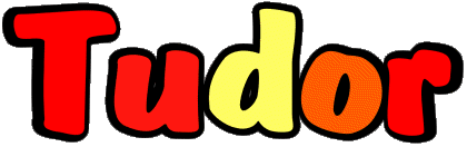 Tudor T MANN - UK - USA - IRL - AUS - NZ Vorname 