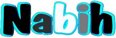 Nabih N MASCULIN - Maghreb Musulman Prénoms 