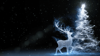 Video Season's Greetings Inglés Mensajes 